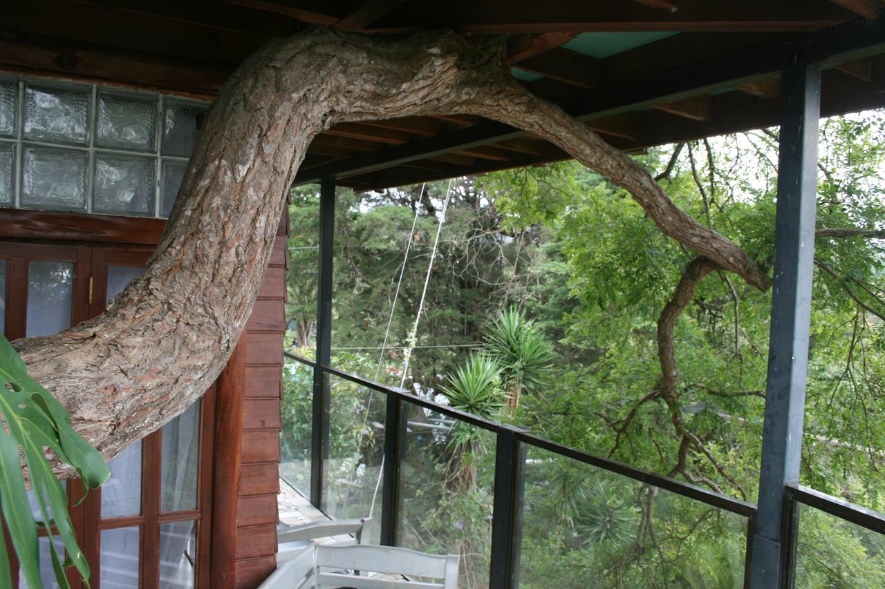 Hotel Monte Campana Heredia Birrí Εξωτερικό φωτογραφία